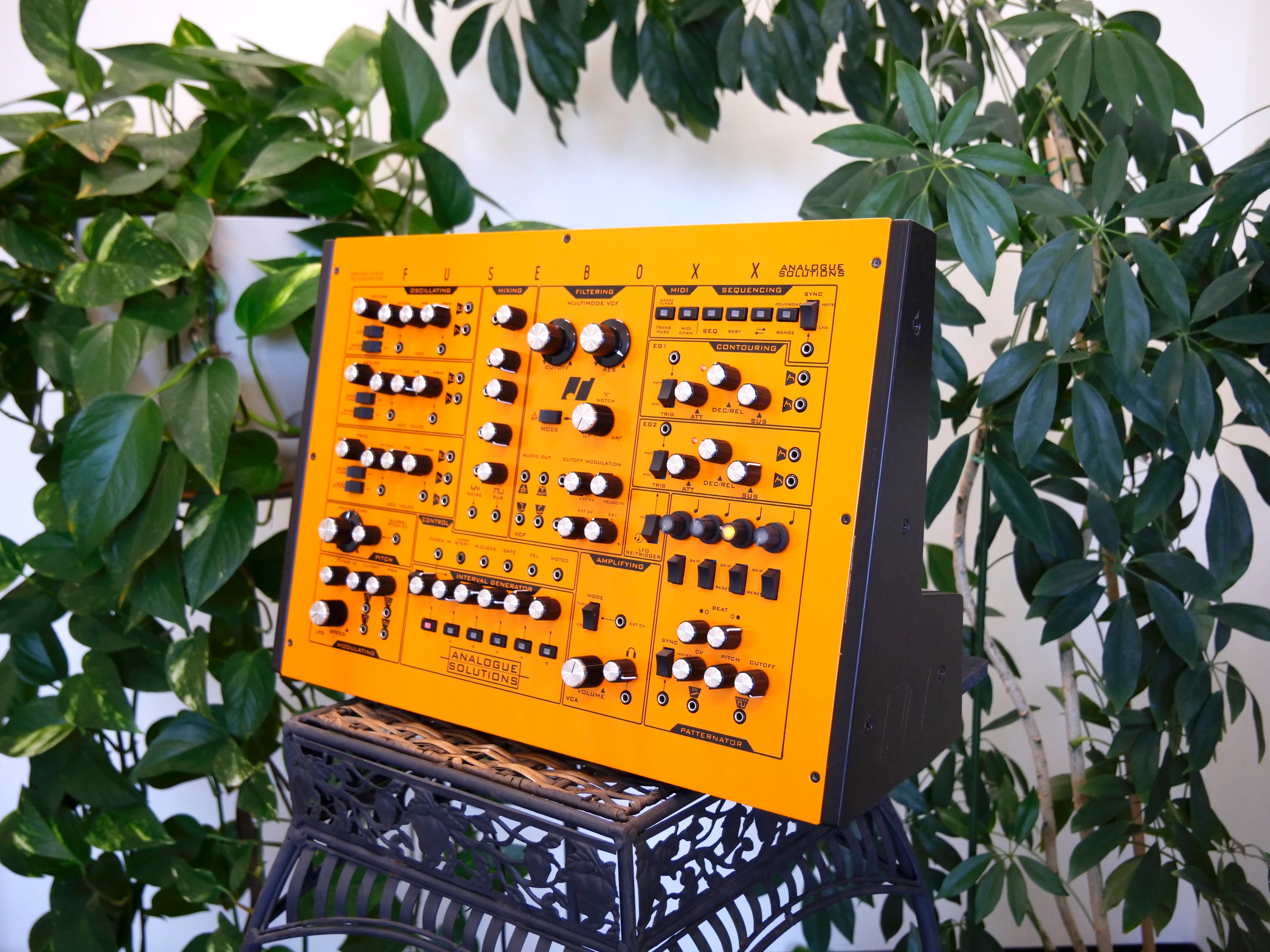 Fusebox X Paraphonic Analog Synthesizer