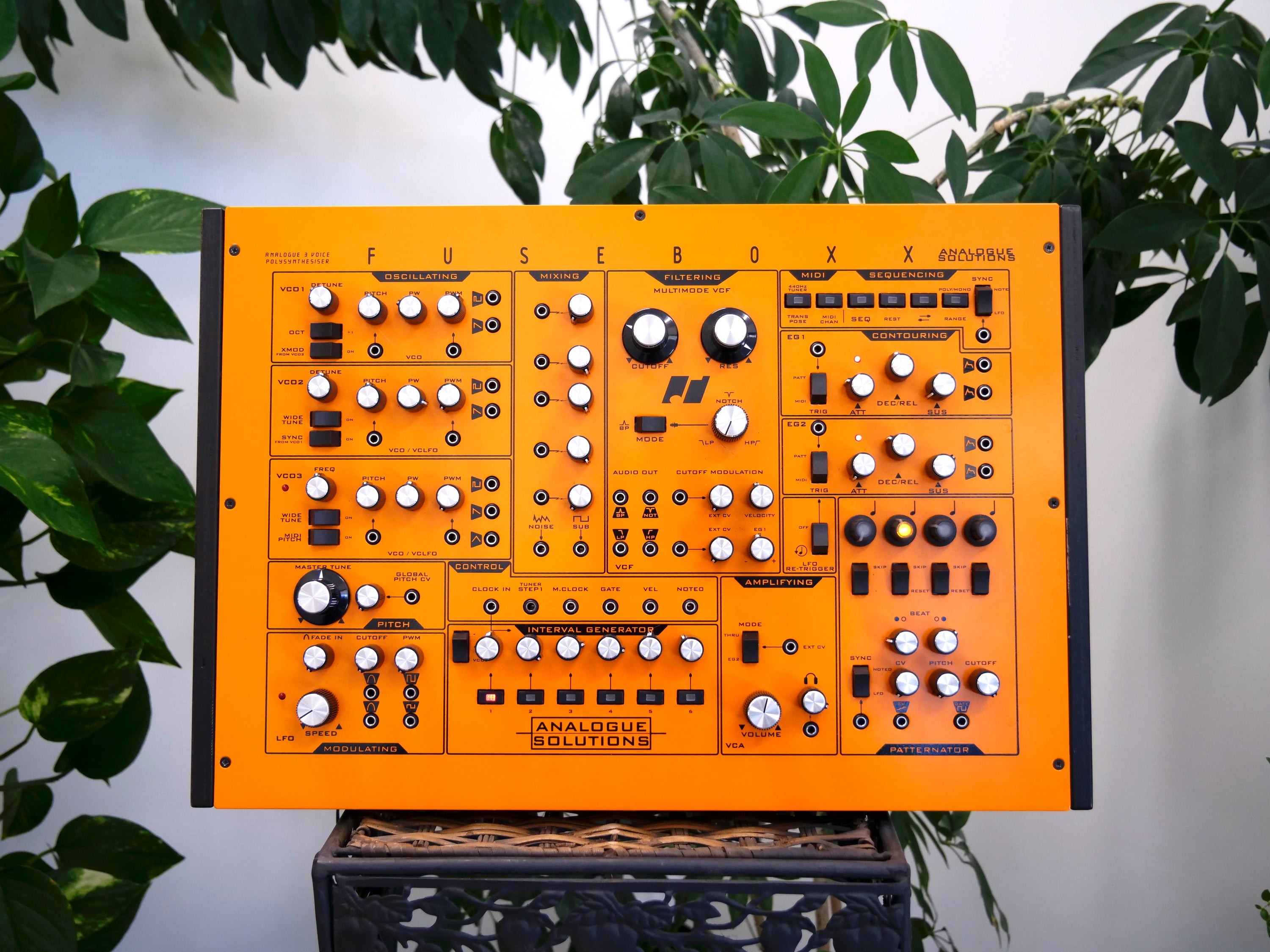 Fusebox X Paraphonic Analog Synthesizer